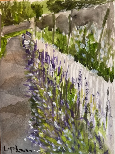 Mercer-Ave-Lavender.jpeg